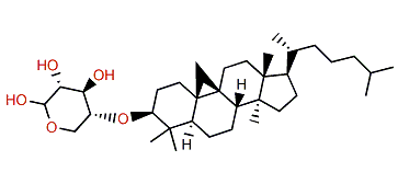 Cycloartan-3-ol 3-O-b-D-xylopyranoside